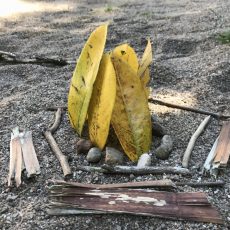 Arbeit mit Naturmaterialien auf dem Schulgelände