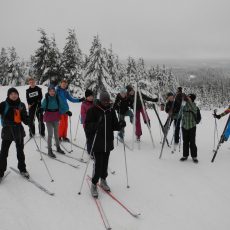 Skireise in den Harz